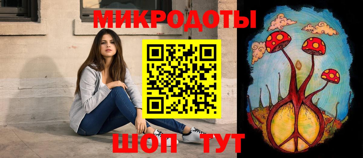 Псилоцибиновые грибы Cubensis Прохладный